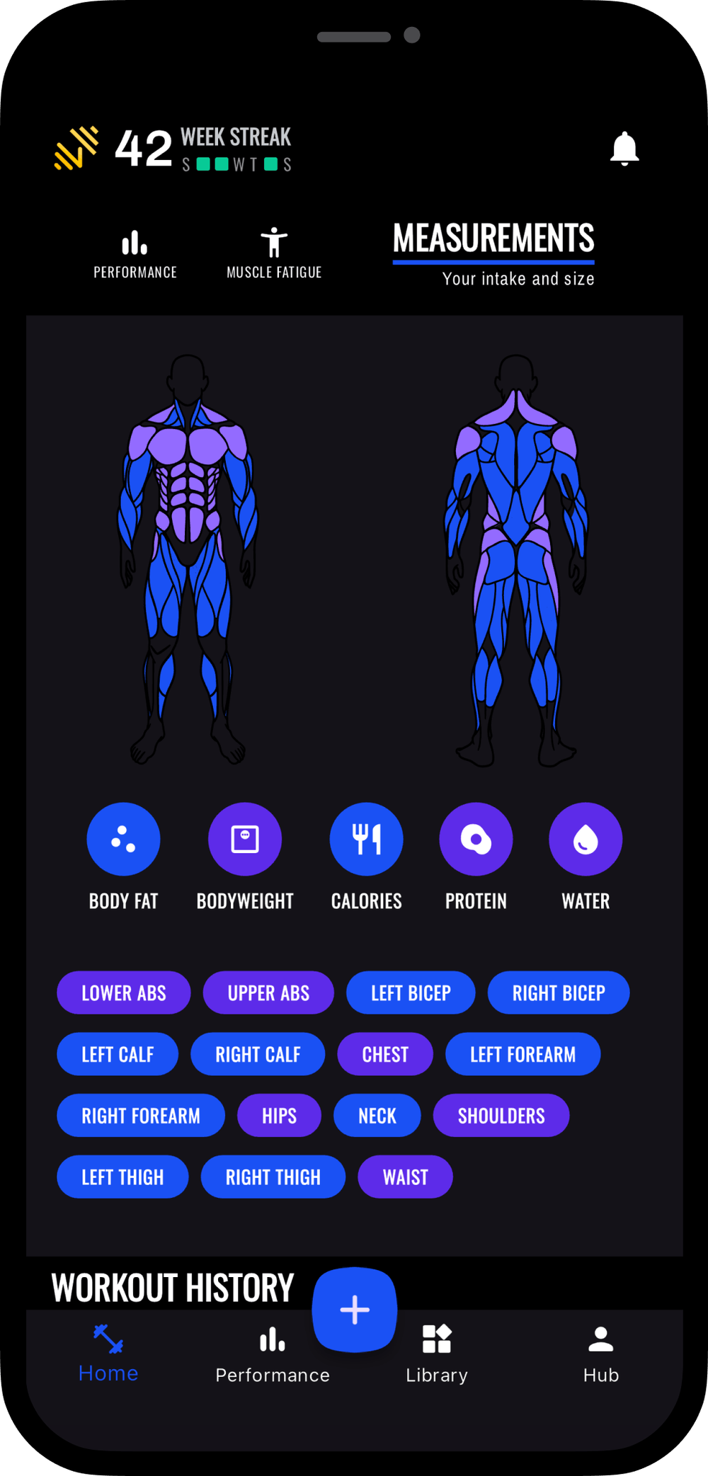 Track intake and body measurements