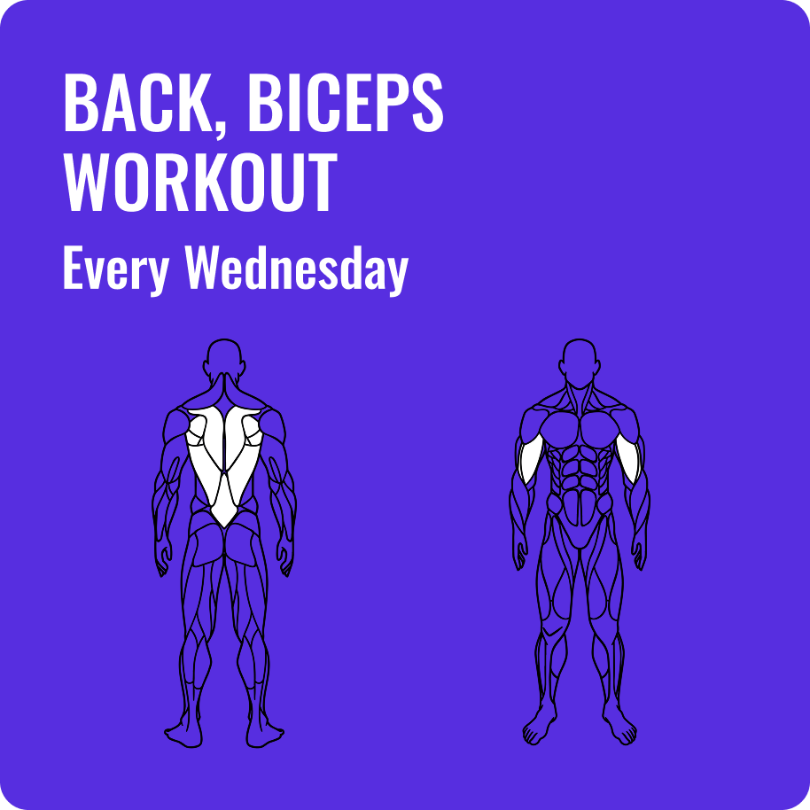 Back, Biceps